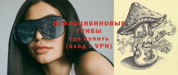 хмурый Алексеевка