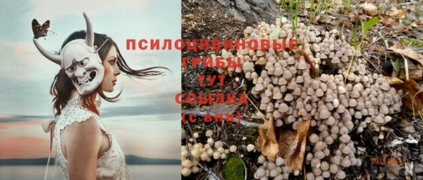хмурый Алексеевка