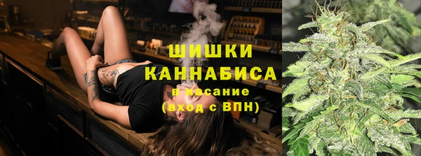PSILOCYBIN Осташков
